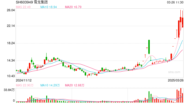 雪龙集团走出“地天板” 股价强势延续还是炒作陷阱？