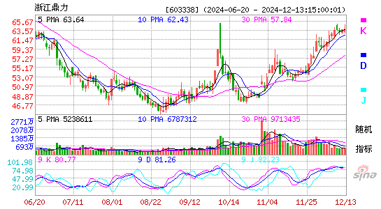 浙江鼎力[603338]今日股票行情_个股行情_k线图走势