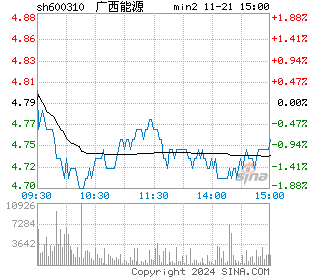 桂东电力分时图