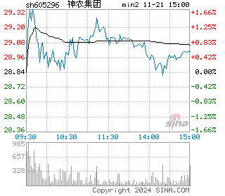 神农集团分时图