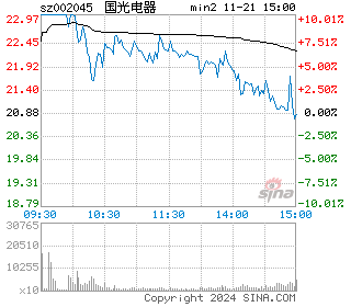 国光电器分时图