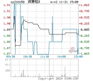 深赛格B分时图