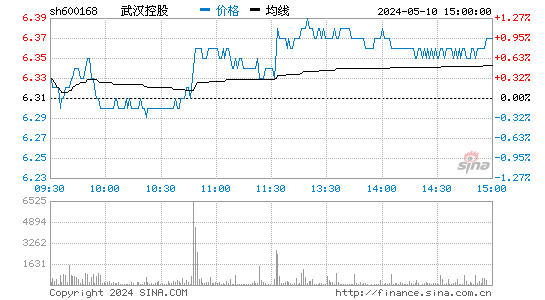 武汉控股[600168]股票行情走势图