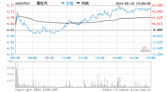 黑牡丹[600510]股票行情走势图