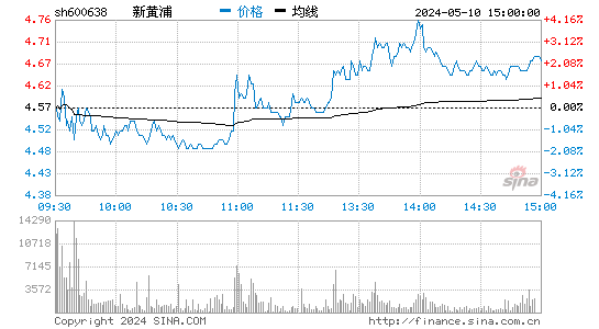 新黄浦[600638]股票行情走势图