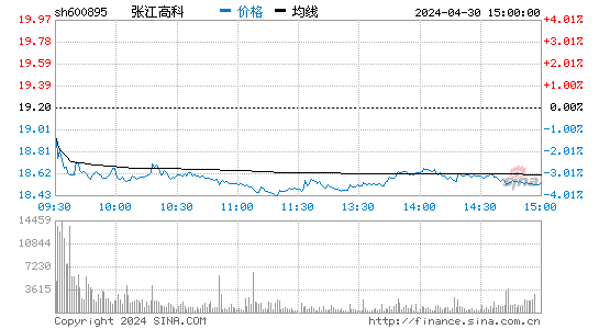 '600895张江高科分时线,今日股价走势'
