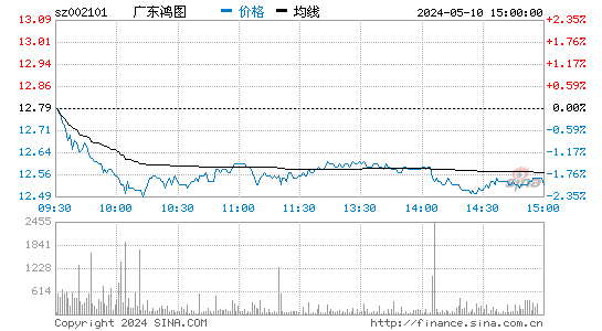 '002101广东鸿图分时线,今日股价走势'