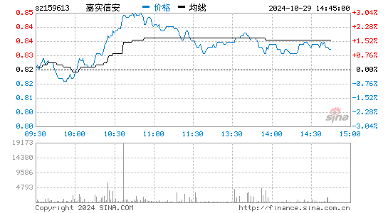 嘉实信安分时图