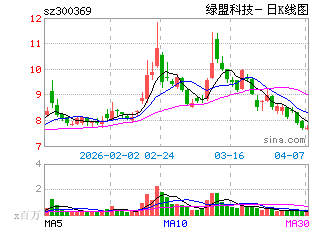收入证明_绿盟收入(2)
