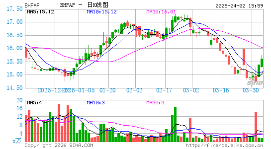 Brighthouse Financial, Inc.日K线图