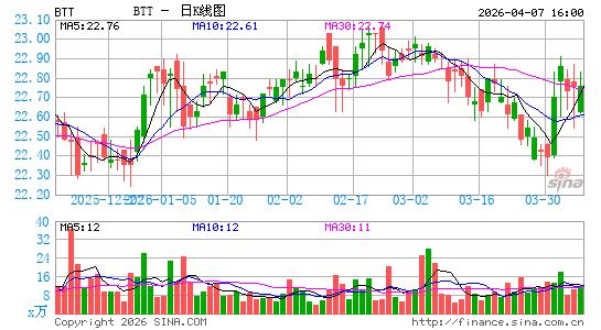 BlackRock Municipal 2030 Target Term Trust日K线图
