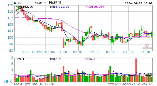 美国网存公司日K线图
