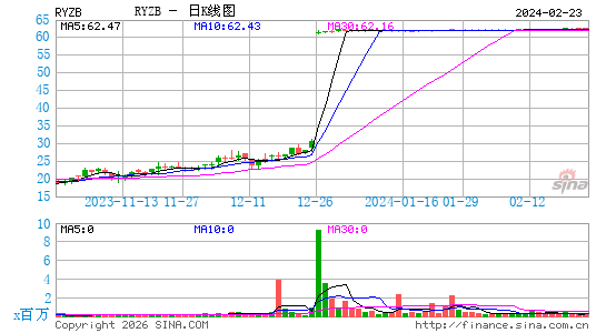 Rayzebio, Inc.日K线图