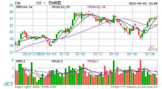 泰森食品日K线图