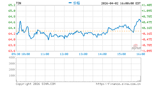 泰森食品分时K线