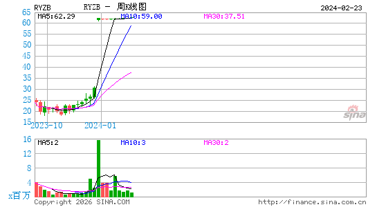 Rayzebio, Inc.周K线图