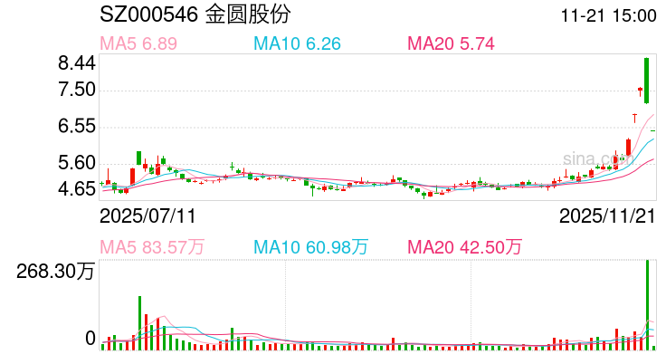 金圆股份(000546)连续涨停分析：概念共振与转型预期驱动