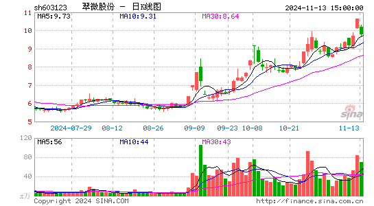 第三方支付业务盈利承压  翠微股份欲加快重点商业调改