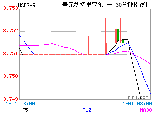 USDSAR.gif