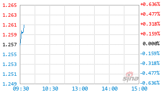 鹏华中证A500指数C基金022666实时估值图